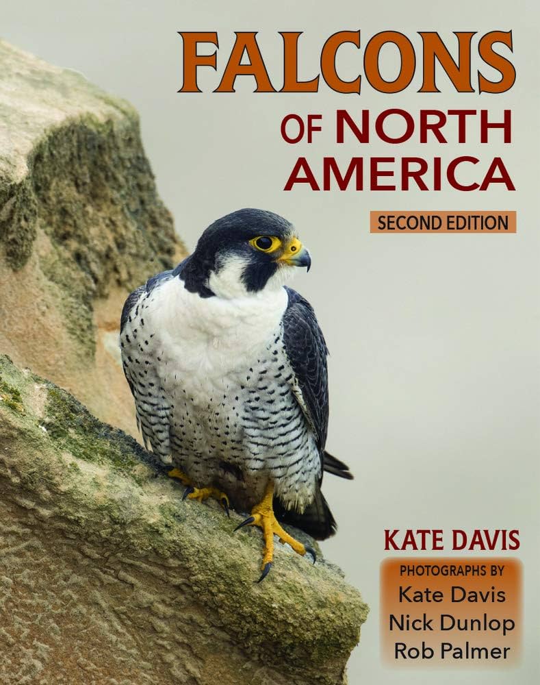 Falcons of North America 2nd Edition